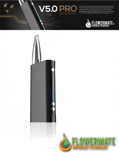 Flowermate Mini Pro V5.0S - Vaporizer