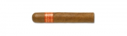 Partagas Serie D No. 4