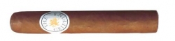 Griffins Robusto Classic Serie