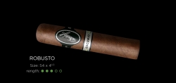 Davidoff Escurio Robusto